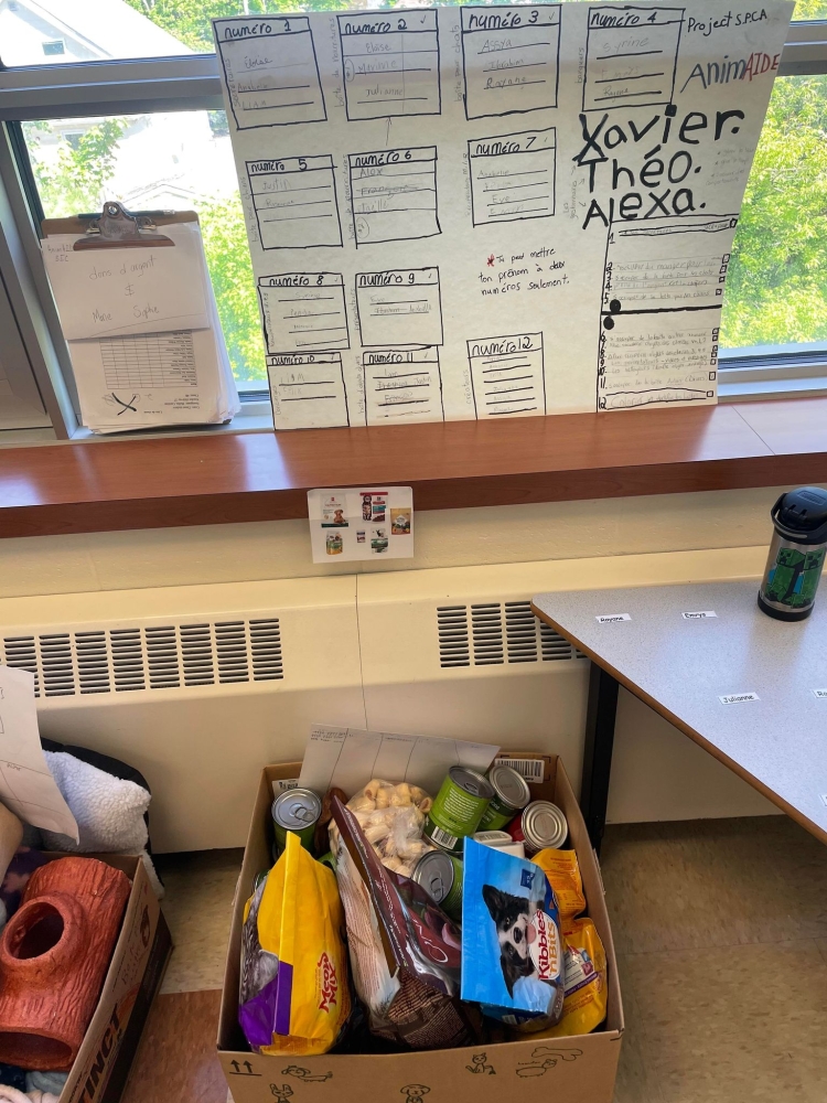 284660869 1204375096974738 7365359963553940832 n