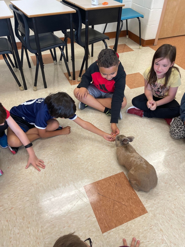 286457386 1061282971144885 3712158477535968176 n