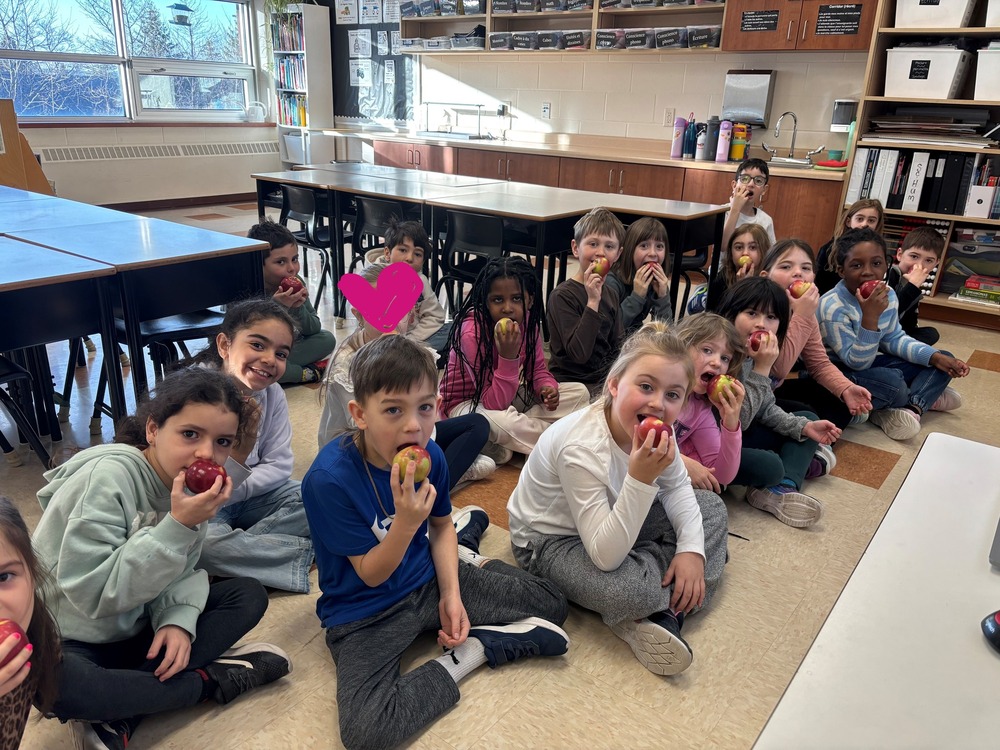 la grande croquée VLF